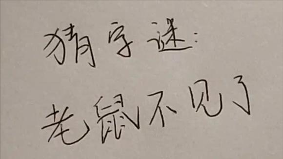 老鼠不见了打一字-老鼠不见了打一字答案是什么